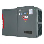Винтовой компрессор DALGAKIRAN Inversys 110 Plus - 10 бар Винтовой компрессор DALGAKIRAN Inversys 110 Plus - 10 бар